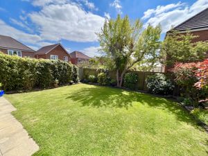 Photo 24- click for photo gallery